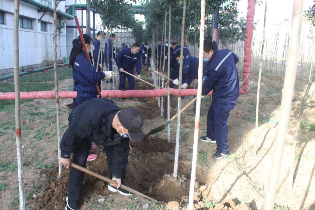 常州冲床送料机厂植树