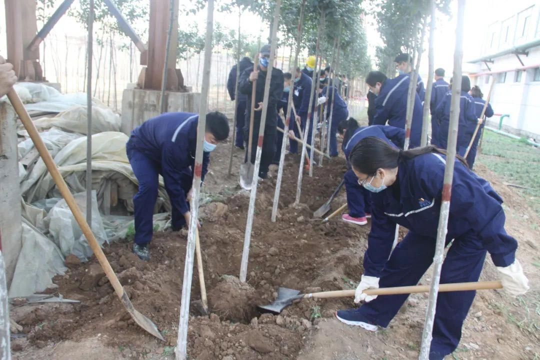 冲床送料机绿色厂区