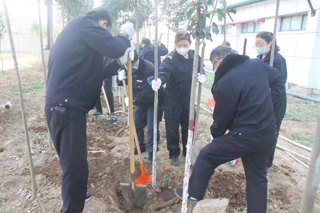 工厂植树活动