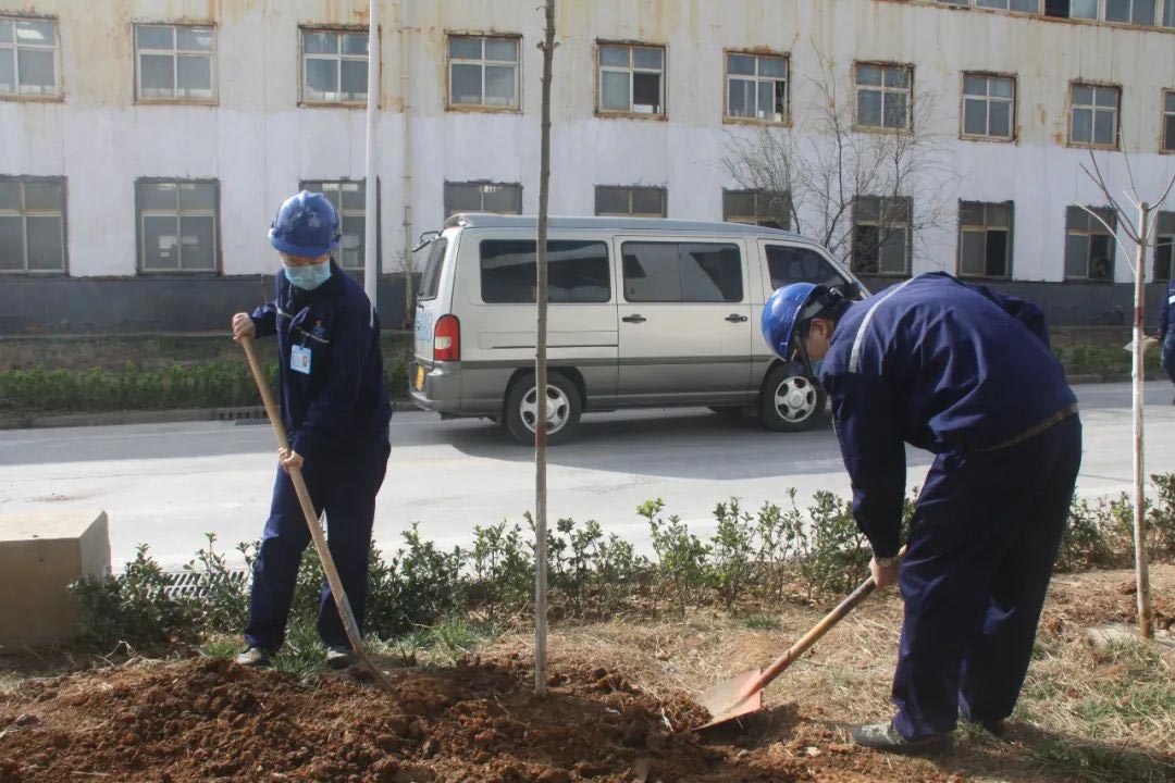 厂区绿化植树