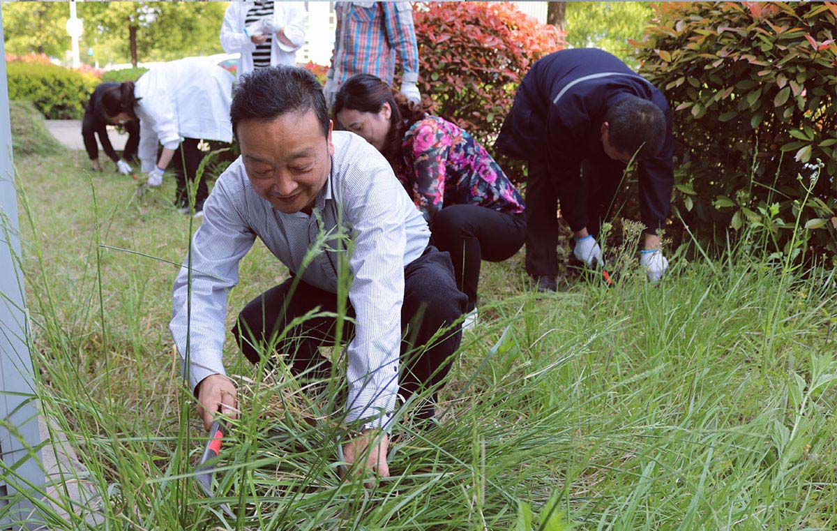 送料机厂除草活动