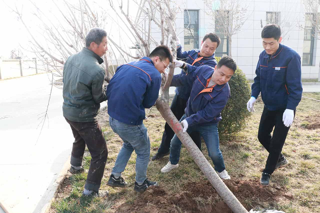 江苏工厂植树活动