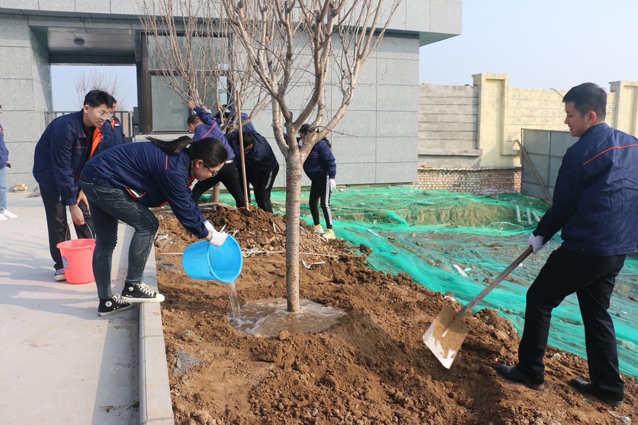 三合一送料机工厂植树